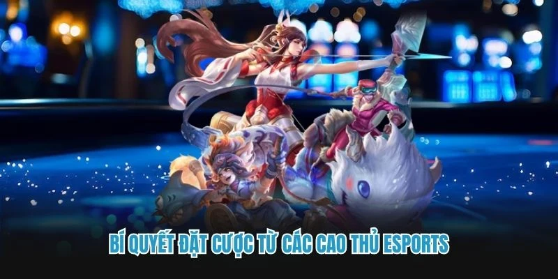 Bí quyết đặt cược từ các cao thủ eSports