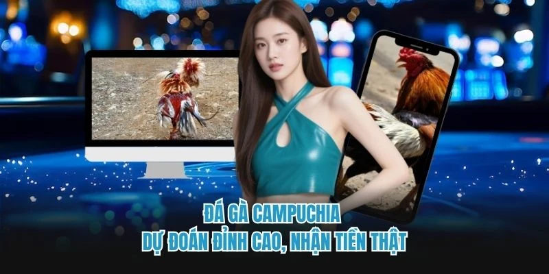 Đá gà campuchia