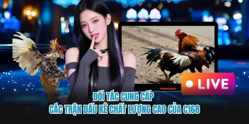 Đối tác cung cấp các trận đấu kê chất lượng cao của C168